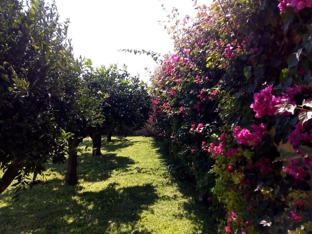 Baglio Olivastro Bed & Breakfast Digerbato Dış mekan fotoğraf